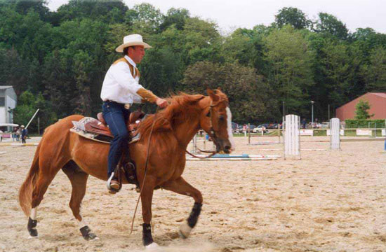 equi_western2.jpg